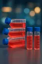[iCell-m111] Mouse Bone Marrow Stromal Cells (MS-5)
